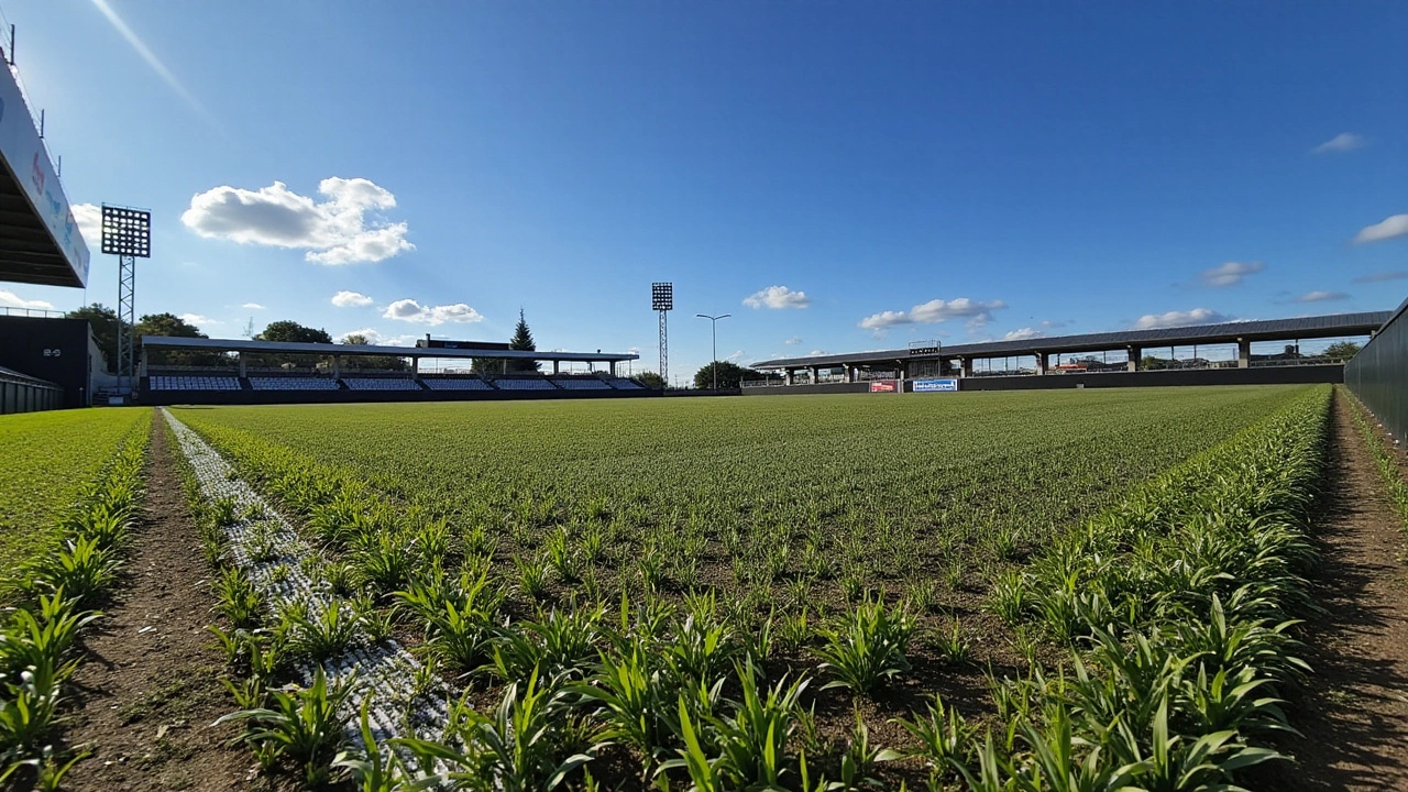 Red Bull Bragantino x Cuiabá: Confronto Decisivo do Brasileirão para Fugir do Rebaixamento